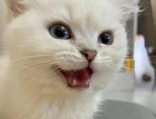 ��؈�^�����^��Ҫ��ã�ĸ؈��С؈��һ�������