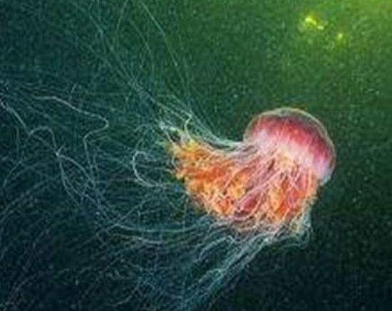 ����10������������а񣬪{��ˮĸ�����������{�L�l�R��^