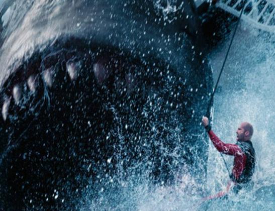 海洋10大巨型生物排行榜,獅鬃水母令人致死、藍鯨瀕臨滅絕 海洋10大巨型生物排行榜,獅鬃水母令人致死、藍鯨瀕臨滅絕