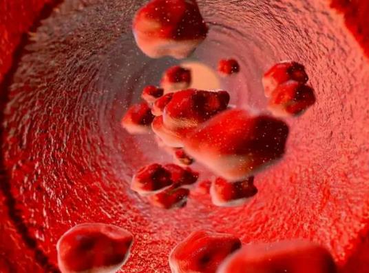 血液是紅色的為什么血管是藍色的?貧血就是身體里的血液量少了嗎 血液是紅色的為什么血管是藍色的?貧血就是身體里的血液量少了嗎