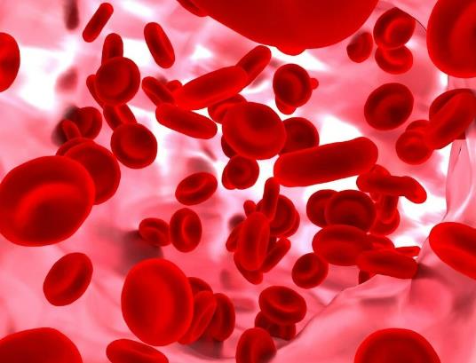血液血管在人體起什么作用?貧血是什么原因引起的 血液血管在人體起什么作用?貧血是什么原因引起的