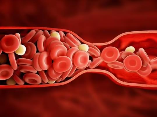 血氧91會(huì)出現(xiàn)什么癥狀?血氧飽和度93到94需要吸氧嗎 血氧91會(huì)出現(xiàn)什么癥狀?血氧飽和度93到94需要吸氧嗎