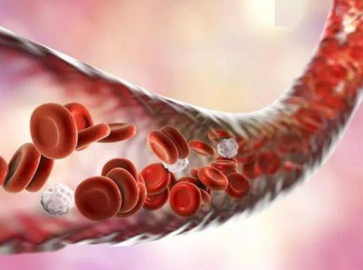 Ѫ���x�y��Ҫ��Õr�g��Ѫ���x����ɂ���ֵ����������