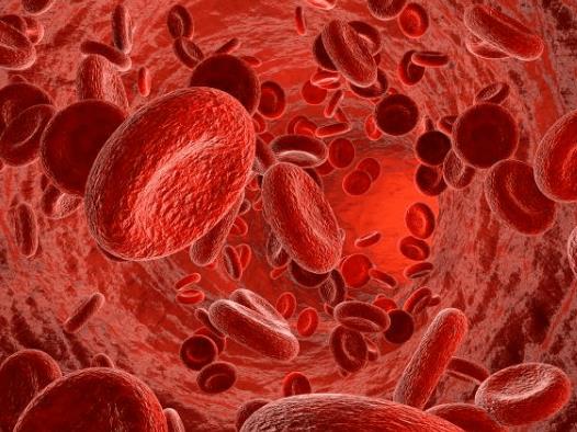 Ѫ���x�Ǹ�ʲô�õģ�ָ��Ѫ���x�ǜy(c��)ʲô��