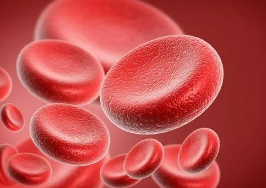 Ѫ���x�Ǹ�ʲô�õ���ָ��Ѫ���x�ǜyʲô��