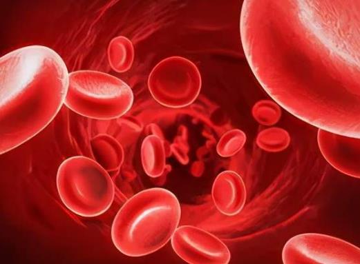 Ѫ�Ǹ���ʲô�Y���������ô����Ѫ��