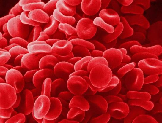 Ѫ�Ǹ���ʲô�Y���������ô����Ѫ��