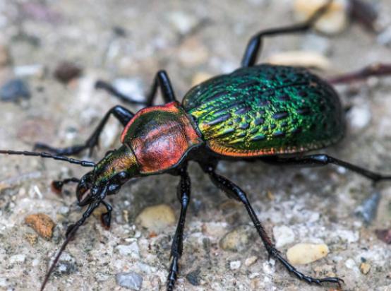 ȫ��ʮ����ϡ���x(ch��ng)���а񣬲�Ϭ�����Ը���ľ�^���ʱ۽��������ɫ