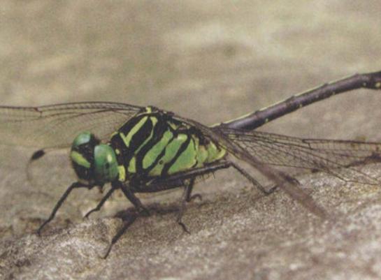 ȫ��ʮ����ϡ���x(ch��ng)���а�����Ϭ�����Ը���ľ�^���ʱ۽��������ɫ