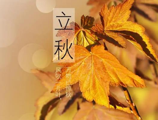 ��������߀���������������Ӿ�����w�к���