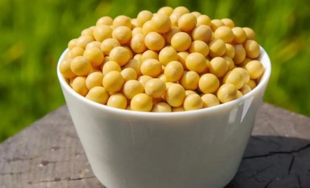 ���^�����ԳԾG���� ���^�����Գ��������