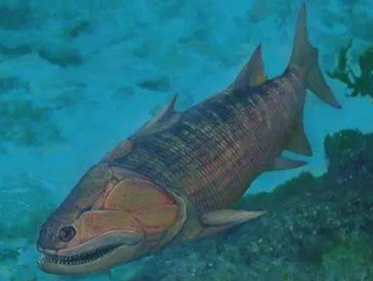 ����ʮ������~��ؼ��~���؞lΣ�����ȼӠ������~�����x�_ˮ����