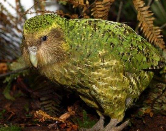 ����������͵��������^�W�^���԰��Լ����ˤ�����d������Ҳ���n