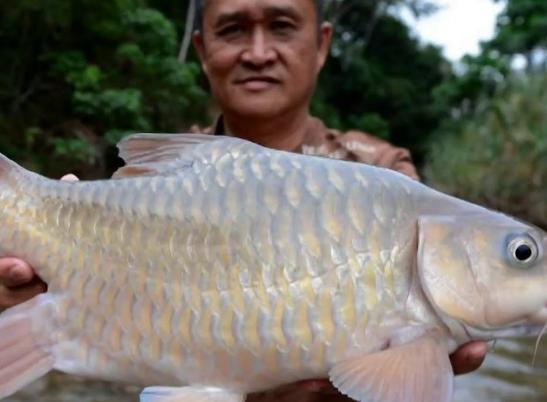 ȫ��ʮ�����F��ˮ�~���а��������~�ڸ������͡������~��ֳ�����O��