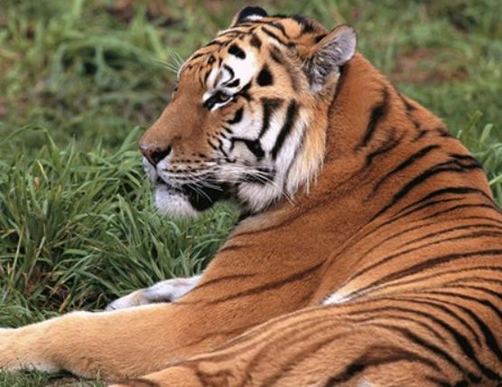 ����ʮ����B؈�Ƅ���ϻ��܃��͡��{���ǅ���֮��