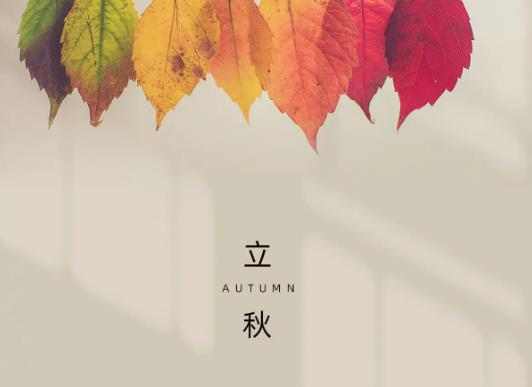 ���������Ӟ�ʲô���ܳԣ������������ж���