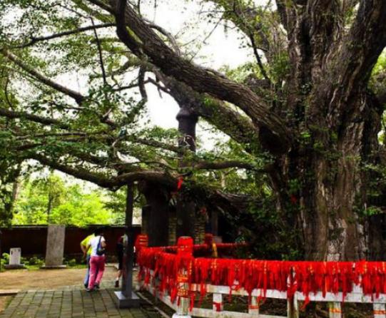 ������Ư���Ę����������µ�һ�y�Ә䡢���������y�Ә�׌�������澏