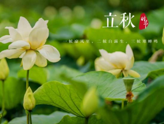 ���������ӕ�����������������֪�˺�߀�ܳԆ�