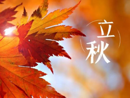 ��������ӕ�׃��߀��׃�٣����������Ӟ�ʲô����