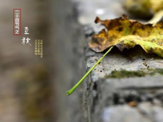 立秋后蚊子會變多還是變少?立秋后的蚊子為什么厲害 立秋后蚊子會變多還是變少?立秋后的蚊子為什么厲害