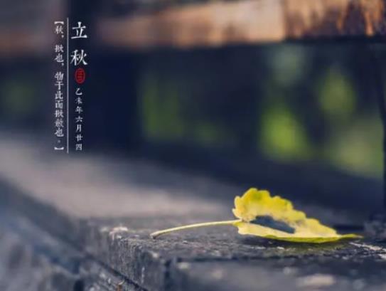 ������֪�˺�߀��������������������N�ײ��}����