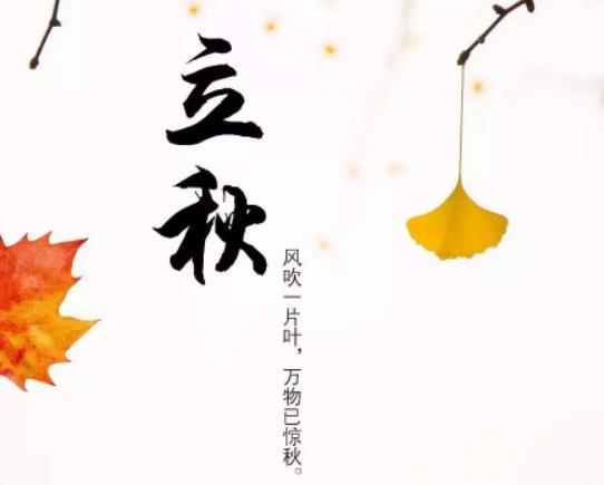 ������֪�˺�߀���������᣿��������N�ײ��}����