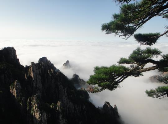 黃山在哪里看云海最好?如何才能看到云海 黃山在哪里看云海最好?如何才能看到云海