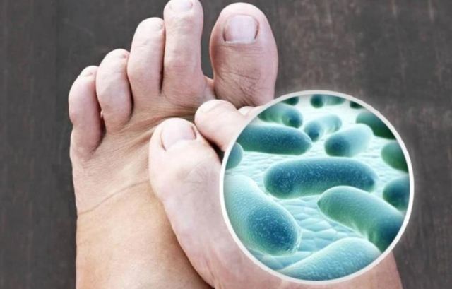 �Ϻ��������ȥ�_��� �Ϻ��м�������