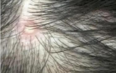 �����������ë���׆� ����������ί������