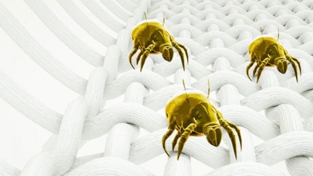 上海藥皂可以殺死螨蟲嗎 殺死螨蟲的方法有哪些? 上海藥皂可以殺死螨蟲嗎 殺死螨蟲的方法有哪些?