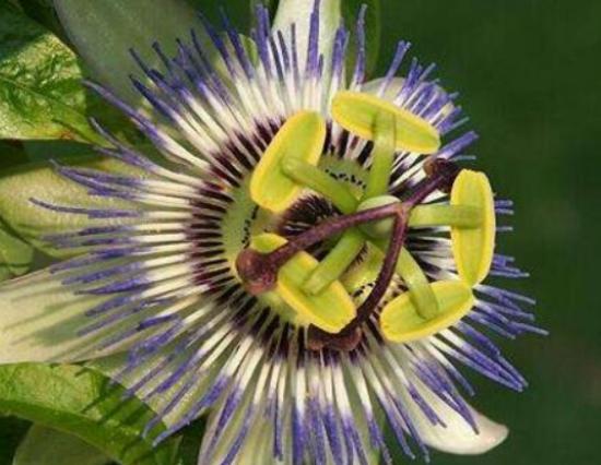 ����ʮ���殐ֲ����������݆��׌������η�֡��y�Ȳ������\��Ԣ��