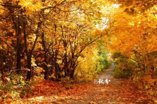 ���������ʲô���ף�2023����֮������߀��ꎺ�