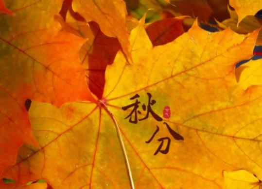 2023������ǎ���̖���c�׷֣���ʲô����^�����߀�]��������