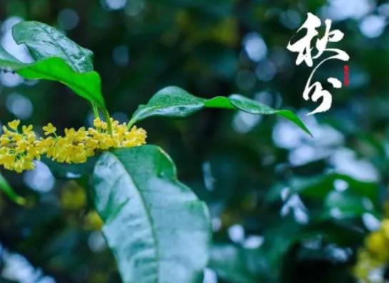 北京秋分過后天氣有什么變化?秋分過了怎么還三十多度 北京秋分過后天氣有什么變化?秋分過了怎么還三十多度