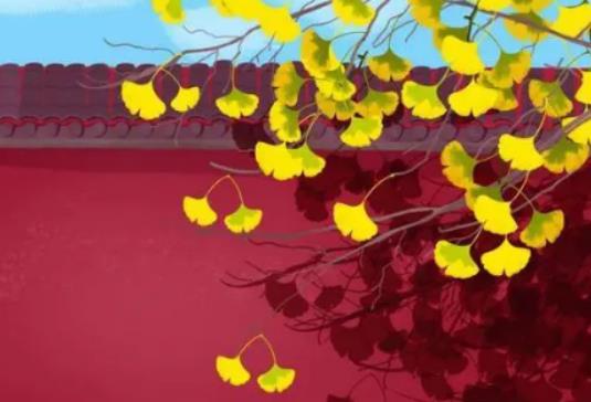 秋分過了天氣有什么變化?2023年北京秋分以后還熱嗎 秋分過了天氣有什么變化?2023年北京秋分以后還熱嗎