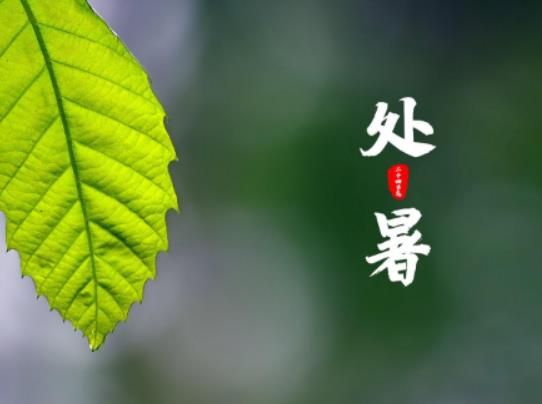 ̎��\��ʲô�v����2023��̎��������r