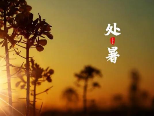 2023年處暑是黃道吉日還是忌日?2023年處暑時間是下午還是上午 2023年處暑是黃道吉日還是忌日?2023年處暑時間是下午還是上午