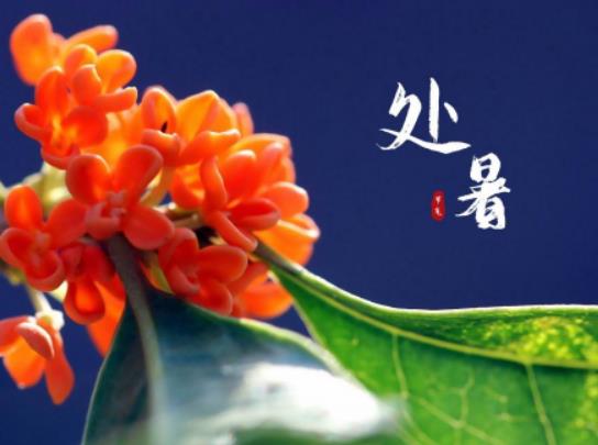 2023年處暑前三天交運是哪一天?2023年處暑前一天是什么日子 2023年處暑前三天交運是哪一天?2023年處暑前一天是什么日子