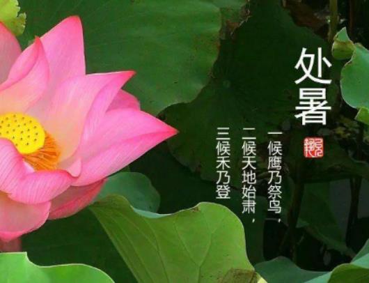 2023年處暑在末伏前還是末伏后?2023年處暑是哪一天開始的 2023年處暑在末伏前還是末伏后?2023年處暑是哪一天開始的