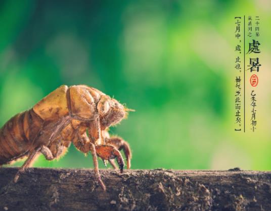 ̎��֮��߀��(hu��)����(hu��)���F(xi��n)�ߜ���⣿̎���ʲôʳ���B(y��ng)��