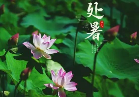 ̎��������ĽY(ji��)���᣿��ʲô̎��r(sh��)����½�