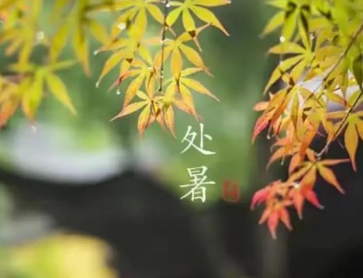 ̎�������D(zhu��n)���ˆ᣿2023̎���^(gu��)���ܷN��ˆ�