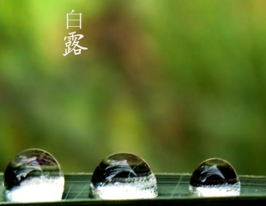 2023年過了白露節氣穿秋褲嗎?2023年白露后還熱嗎 2023年過了白露節氣穿秋褲嗎?2023年白露后還熱嗎