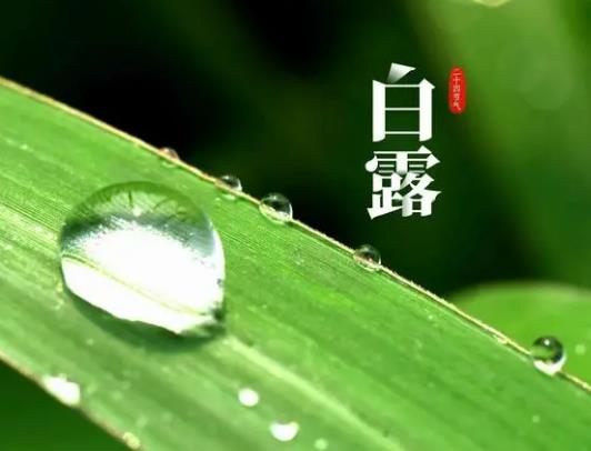 һ���Ă�(g��)��(ji��)���_ʼ����ѝ����¶�^(gu��)����ô����