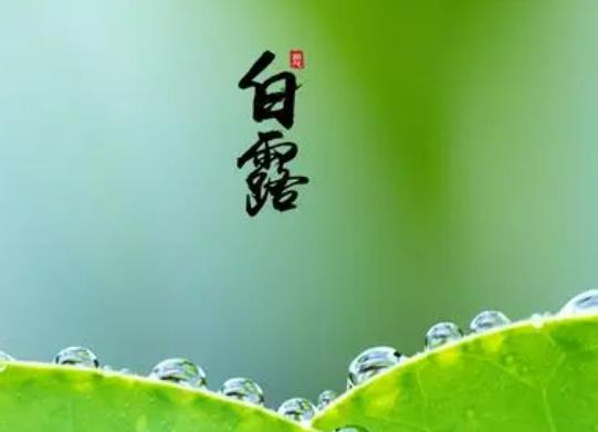 ��¶��(ji��)���^����¶�_�׆᣿2023���¶�^��ض���ô��