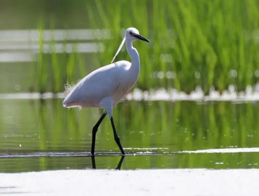 ��¶�^���ǲ��Ǿ����ˣ���¶��Ҫ��ô����