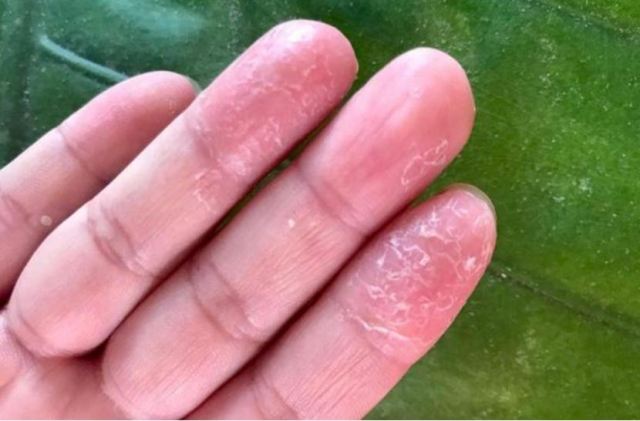 �ί��ְ_��ʲôˎ�� �ְ_����Щ���