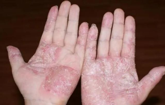 �ְ_��ô���܏ص׸��� �ְ_��ô������