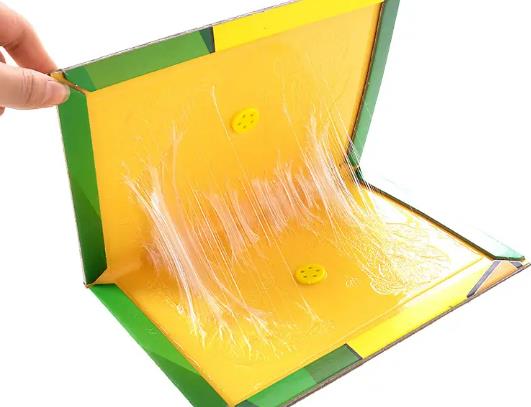 ����Ҋճ�����@����ԓ��ô�k��������Ԓ�Óճ����