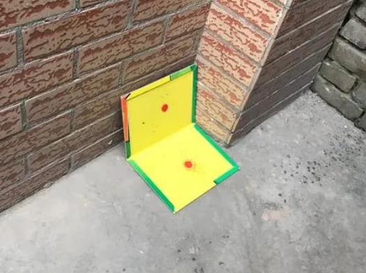 �����ճ���������߀�����Ϯ��᣿ճ���һ��Ŏ�����ճ������